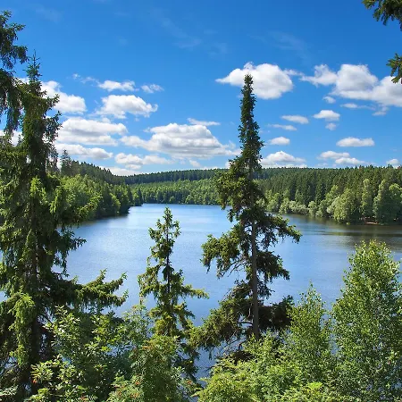 Дом отдыха Bergchalet Harzidyll Зангерхаузен